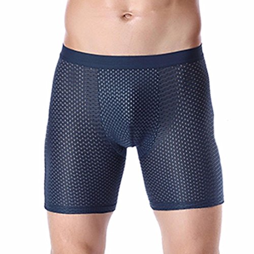 Preisvergleich Produktbild TUDUZ Herren Transparent Glatt Boxershorts Boxer Briefs Unterwäsche Trunk Pants Cool Unterhosen (Blau, L(Taille:60-74cm))