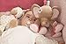 Nattou Charlotte and Rose Musical Rose the Elephant