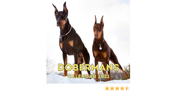 doberman amazon
