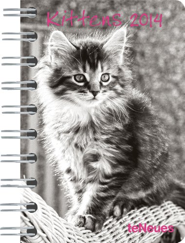 Kittens 2014. Taschenkalender Deluxe