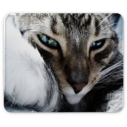 Katzen 10014, Graue Katze, Designer Leder Mousepad Unterlage Mauspad Maus-Pad Stark Anti Rutsch Unterseite für Optimalen Halt mit Lebhaftes Motiv Kompatibel mit allen Maustypen (Kugel, Optisch, Laser)Ideal für Gamer und für Grafikdesigner.