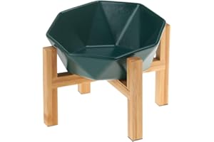 HCHLQLZ Grün mit Ständer Keramik geneigt abgewinkelt katzennapf hundenapf futternapf Katze Hund fressnapf Katze futterstation Erhöhte Hundebars für Hunde mit Massivholz Ständer