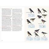 Image de Birds of the Indonesian Archipelago: Greater Sundas and Wallacea