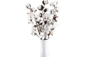 HUAESIN 3pcs Ramo Flores Secas Naturales Blancas 53cm Rama de Algodon Natural con 10 Cabeza de Flores Algodon Decoracion Planta Seca para Boda Fiesta Jarrones Mesa Hogar Navidad Decoracion Granja