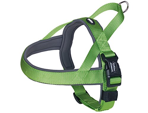 Nobby Classic Preno - Pettorina Norvegese per Cani, 38 - 50 cm + 36 cm/20 - 25 mm, Verde/Grigio