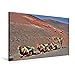 Produktbild Calvendo Premium Textil-Leinwand 75 cm x 50 cm Quer, Lanzarote | Wandbild, Bild auf Keilrahmen, Fertigbild auf Echter Leinwand, Leinwanddruck: Dromedare Beim Nationalpark Timanfaya Orte Orte