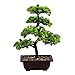 Produktbild künstliche Bonsai Baum Pflanze für Büro Zuhause Dekoration, 40cm (Grün), Green