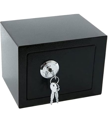 0.6 Cu Ft Small Home Safe – Solid Steel Digital Safe With LED Light, Keypad & Emergency Keys, For Office/Hotel (Black)