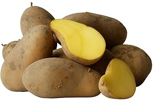 ‎LAMERA Kartoffeln Nixe mehligkochend 1–25 kg – deutsche Speisekartoffeln aus neuer Ernte 2025 – perfekt für Püree, Suppen, Knödel, Gnocchi & Aufläufe – regionale Qualität (5 KG)