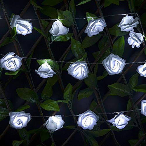 Preisvergleich Produktbild Setsail LED-Simulation stieg Lichterkette, Weihnachtsdekoration Partei wasserdichte Batterie Fee Licht dekorative Lichter (Weiß)