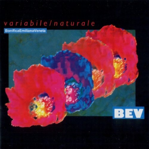 Preisvergleich Produktbild Variable / Naturale by BEV (2001-10-18)