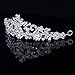 Tinksky Delicate Wedding Bridal Prom Shining Crystal Rhinestones Butterfly Love Flower Crown Headband Veil Tiara (Silver)