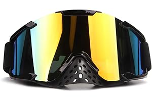 4-FQ Motocross Brille, Dirt Bike Brille Crossbrille Erwachsene PU Harz Motorradbrille Winddicht ATV Brille Staubdicht Reitbrille Kratzfest Rennbrille Skibrille（Farbige Linsen）