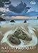 NATURE PHOTO ART 2014: Power of Nature by 