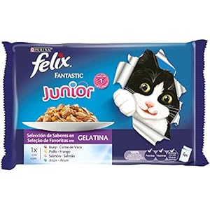Purina Felix Fantastic comida para gato Junior Selecciones Favoritas 10 x [4 x 100 g]