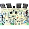 VASP 400 Watt Hifi Mono Amplifier Board using C5200 A1943 Power transistors for Home audio & DIY projects