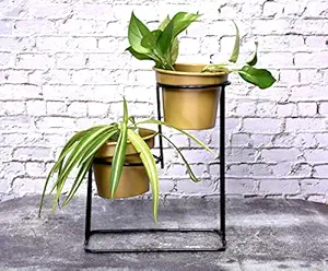 HINS Golden Glass Shape Melat Pot With Black Iron Stand For Indoor & Outdoor Gardening Metal Pots For Indoor Plants I Elevated Garden Planter I Raised Planter I Desk Plant I Raised Planter Box I Ascent Homes Metal Planter I Raised Planter Box With Legs I Brass Pots For Indoor Plants I Golden Planter I Mid Century Plant Stand I Brass Planters For Indoor Plants I Indoor Plant Stand For Living Room I Metal Planters Pot For Indoor Plants designer pots for indoor pl