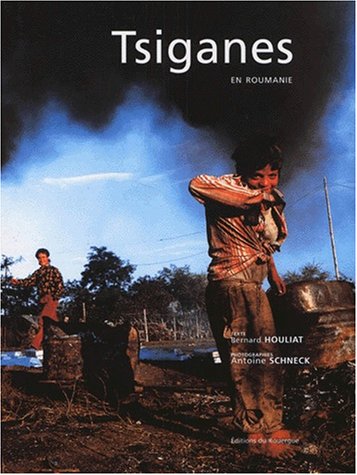couverture de : Tsiganes en Roumanie