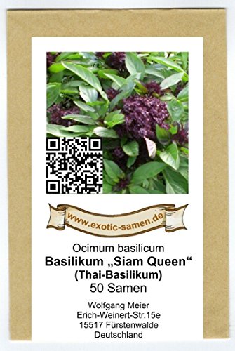 Ocimum basilicum – Thai-Basilikum „Siam-Queen“ – 50 Samen - 2