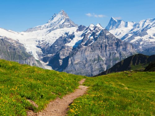 Fototapete Sommerwiese in den Alpen KT356 Größe: 350x260cm Alm Sommer Grün