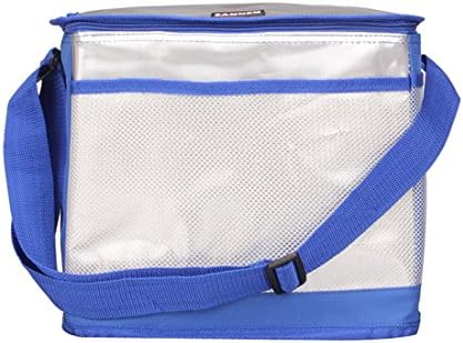 UKGOOD Latest Advanced Double-deck Aluminum Film Large 15L Multifunctional Heat/Cool preservation Insulated Bag Portable Waterproof Travel Lunch Bag Foldable Thermal Picnic Camping Cooler Bag for Adult, Men and Women (Blue)