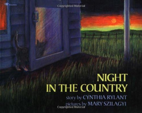Night In The Country