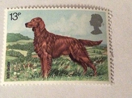 Irischer Siedler 13p. 7. Februar 1979 Neuzustand GB Briefmarke ungebraucht MNH