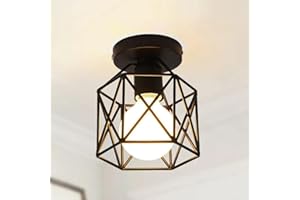 DELIPOP Lámpara de Techo Industrial de Metal, Vintage Lampara de Techo Jaula Negra E27 Max 60W, Iluminación de techo de interior, para Cocina Dormitorio Balcón Barra de Pasillo (Excluyendo Bombillas)