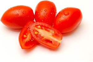 AMOREBIO Cherrytomaten Roma in der Schale 6 x 250 gr