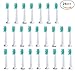 Produktbild U-Prime® Ersatz Aufsteckbürsten,kompatibel mit Philips Sonicare ProResults HX6014 Aufsteckbürsten Standard(für elektrische Zahnbürsten),24 Stück( 6er-Pack).
