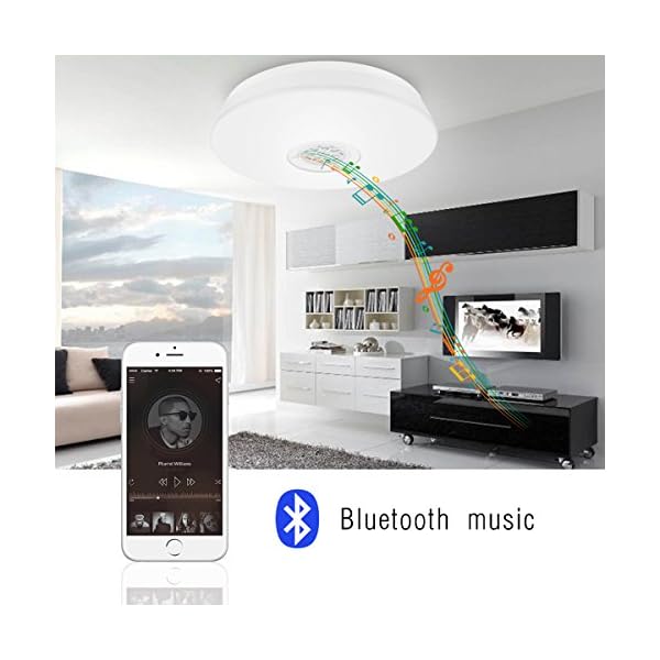 LE 24W LED Ceiling Lights with Bluetooth Speaker Smartphone APP Dimmable 405MM Music Lamp RGBW Color Temperature Adjustable 1500lm 180W Incandescent/50W Fluorescent Equivalent Round Flush Mount Light Ceiling Light Fixture - Image 7