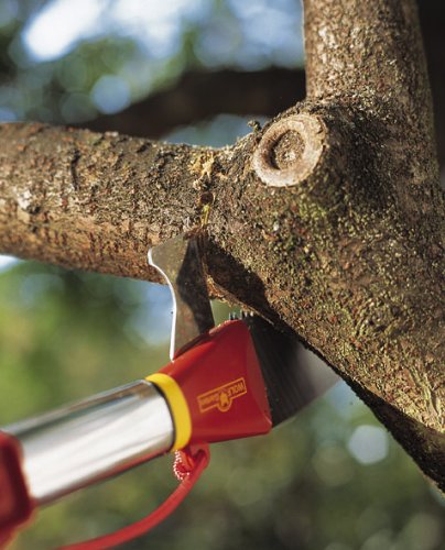 WOLF-Garten multi-star® Profi-Astsäge RE-PM + ZM02; 7232003 - 3
