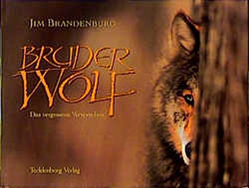 Download Bruder Wolf: Das vergessene Versprechen Download Bruder Wolf: Das vergessene Versprechen