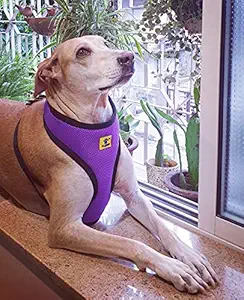 A+a Pets' Air Mesh Quick Dry Harness | Reflective Adjustable Soft Comfortable Pet Vest (Adult / Large Dogs)(Medium, Purple)