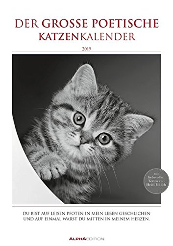 Der große poetische Katzenkalender 2019 - Literarischer Bildkalender A3 - mit Zitaten - schwarz/weiß - Tierkalender