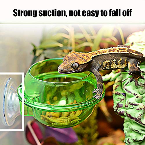 Suction Cup Reptile Feeder Anti Escape Reptile Food Bowl Chameleon