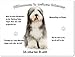 Produktbild Merchandise for Fans Blechschild/Warnschild / Türschild - Aluminium - 15x20cm - - Willkommen in Meinem Zuhause - Motiv: Bearded Collie Porträt- 04