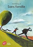 Sans famille - Texte Abrégé