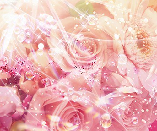 Fototapete Bild-Tapete ROSEN-MIX 300x250cm Wandbild Bordüre Wandtatoo Wanddeko wall mural wallpaper - 2