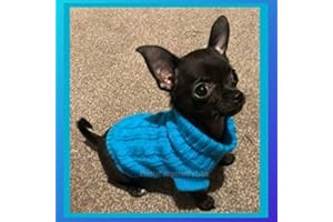 PRETTY PAMPERED PETS UK Chihuahua Clothes Puppy Dog Coat Knit Winter Jumper Cosy Teacup Smaller Breeds XXXS Tiny Toy Miniature Dogs (XXXS, OCEAN BLUE)