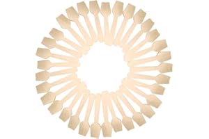 JODSEN Cucchiai di legno usa e getta,200 pezzi di mini set di posate in legno naturale sfuso,cucchiai da dessert gelato da 3,9 * 0,94 pollici per l'estate,cucchiaini da tè per piatti di carta per feste
