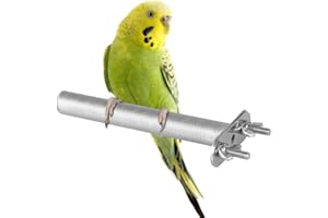 DONGKER Posatoi per Uccelli, Trespolo per Pappagalli in Acciaio Inossidabile, Persico Lima per Unghie Uccello, Pappagallo, Parrocchetti, Fringuelli