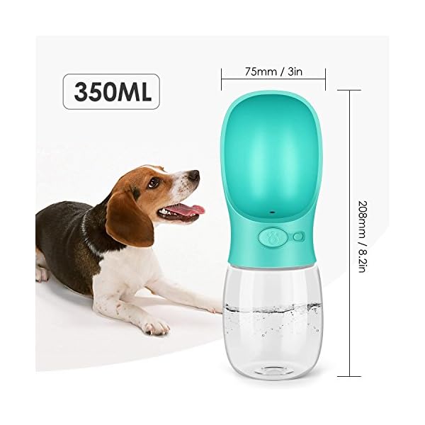 Botellas De Agua Para Ahuyentar Gatos