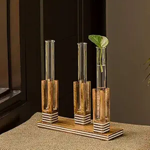 ExclusiveLane Blooming Glass Trio Pillars Handcrafted Glass Planter Tubes with Wooden Holder Table Top Planter Set for Living Room & Test Tube Planters for Home D