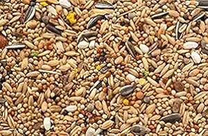 HANU Bajri Bird Food 5KG | Mix Seed for Budgies, Love Birds, Cocktails and Finches, Small Birds 01