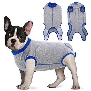Recovery Suit for Dog Cat After Surgery Wear, Male Female Dog Cone E-Collar Alternative, Professional Recovery Costume for Puppy Kitten Abdominal Wound Skin Damage Weaning Post- Operative (L)