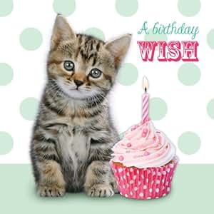 Geburtstagskarte Basteln Katzen Faltkarte Cat Birthday Card
