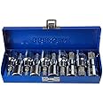 Bergen 10 Piece 1/2 Torx TRX-Star BIT Socket Set 1/2" Drive 10pc B1128