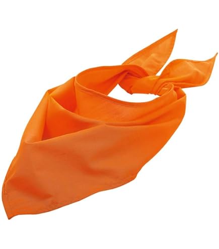 Costume Lumaca Boy Atosa Per Bambini, Età 4-5 Anni, Include Pantaloni, Camicia, Copricapo E Conchiglia, 100% Poliestere