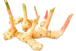 KOALAKOI Galangal root (cu rieng) 100g